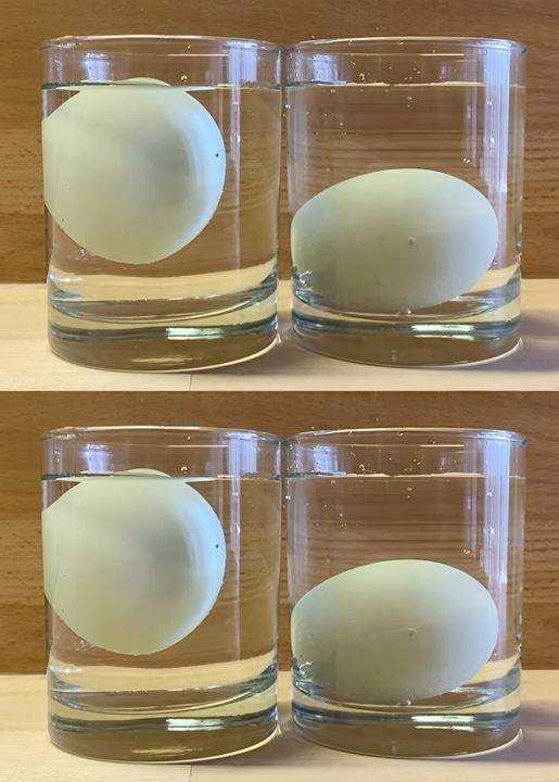 5 ways to tell if an egg is fresh or rotten