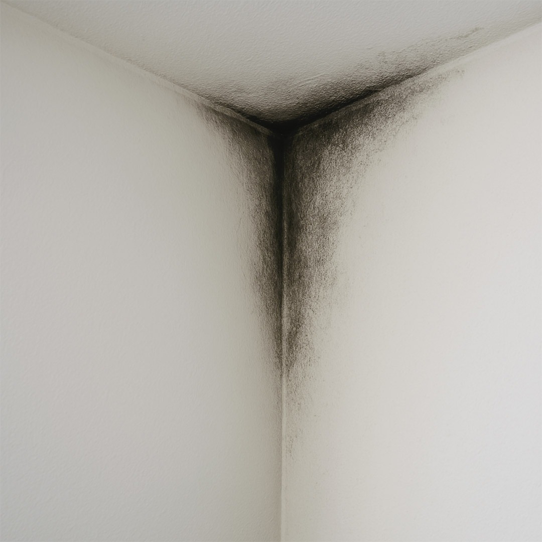 If your walls are turning black in a corner, it’s no accident: find out what it really means (and how to fix it)