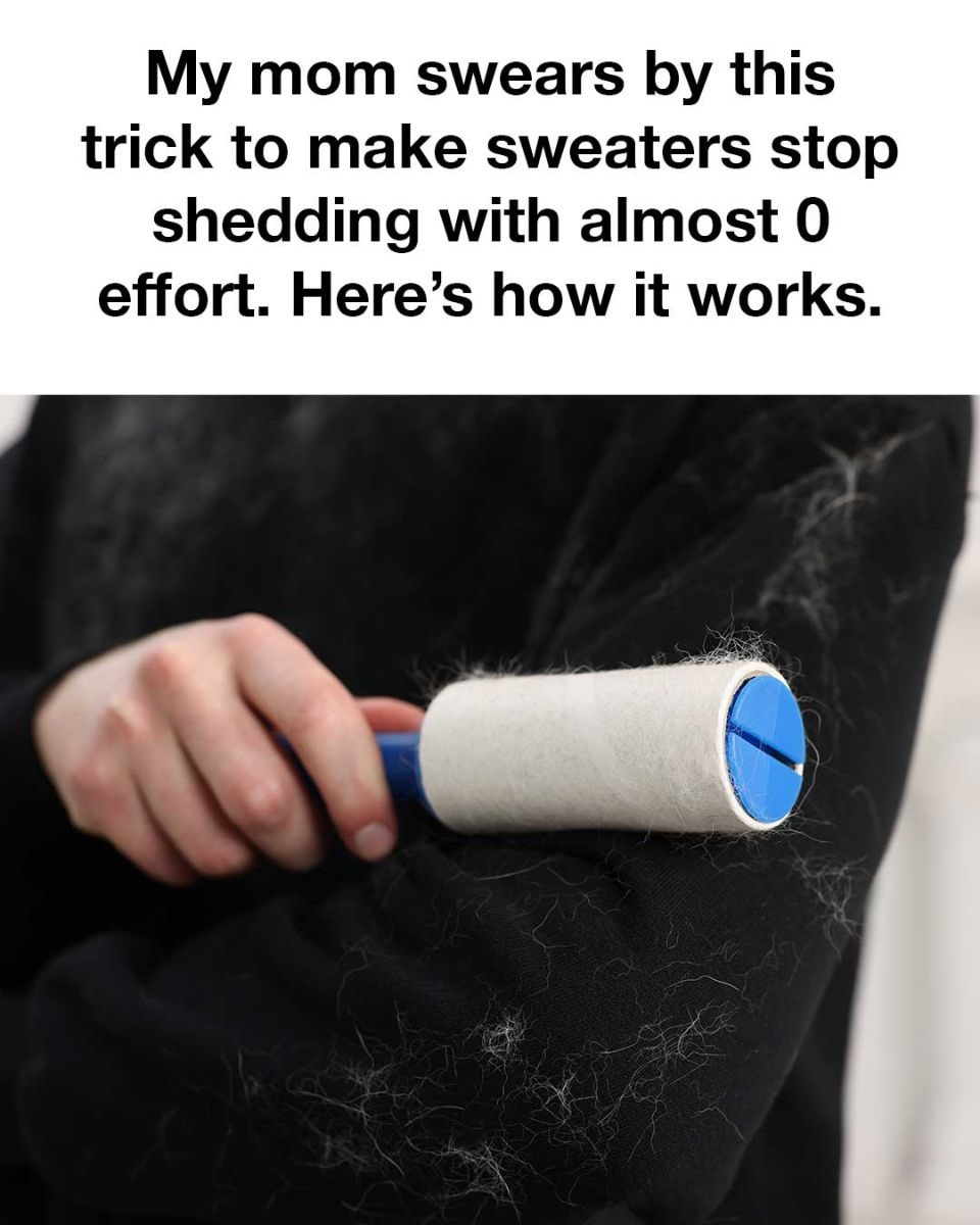 How to Stop Your Sweaters from Shedding: The Surprisingly Easy Freezing Trick