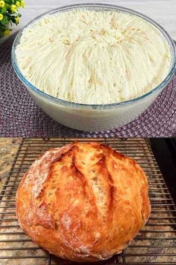No-Knead Bread with 3 Cups of Flour