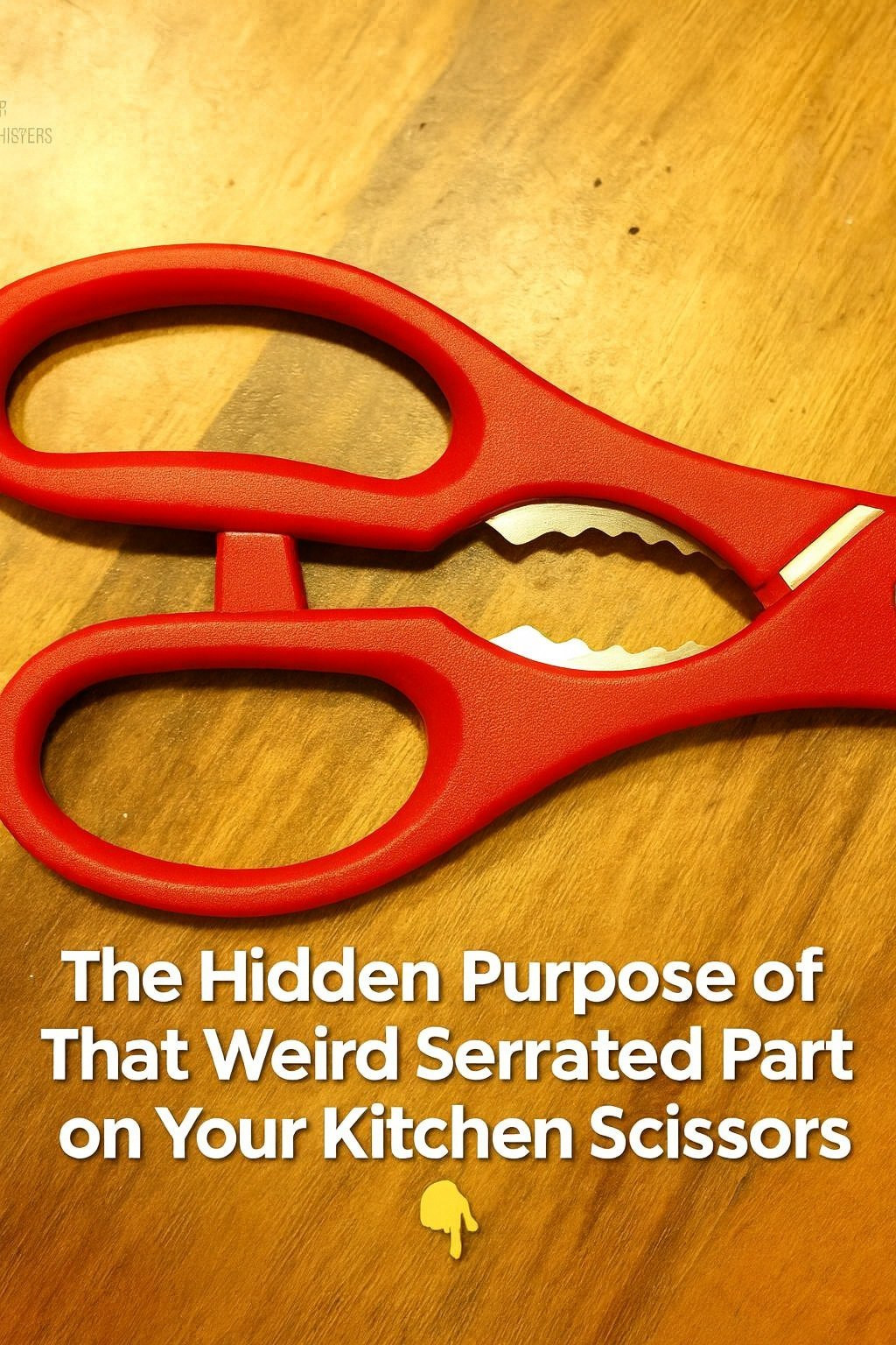 Most People Use Kitchen Scissors Wrong — Do You Know What This Part Actually Does?