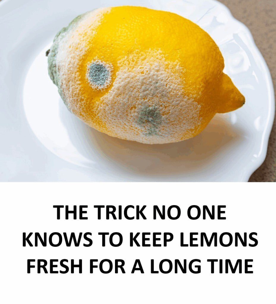 How to Keep Lemons Fresh Longer and Prevent Mold July 14, 2025 by admin