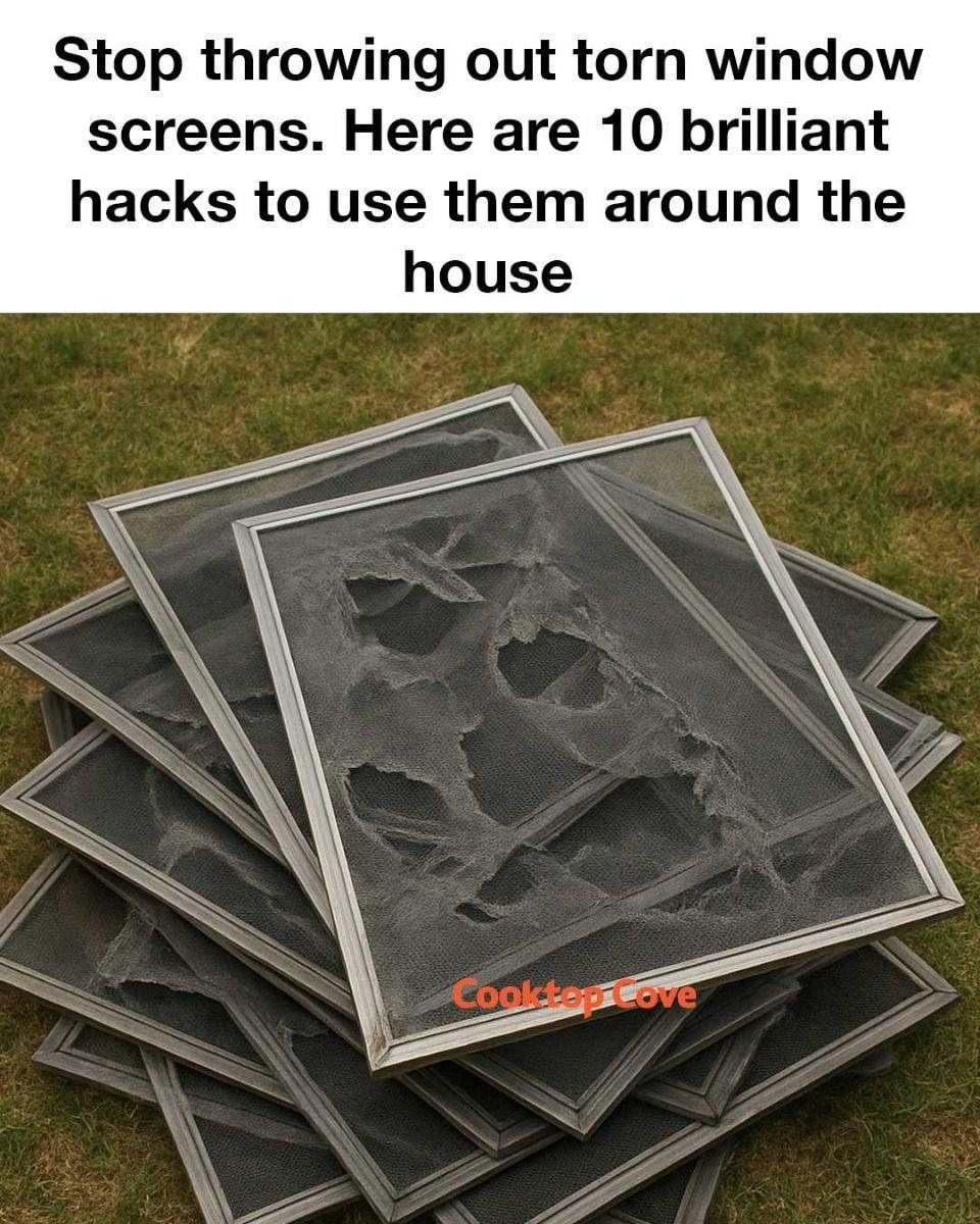 Stop throwing out torn window screens. Here are 10 brilliant hacks to use them around the house