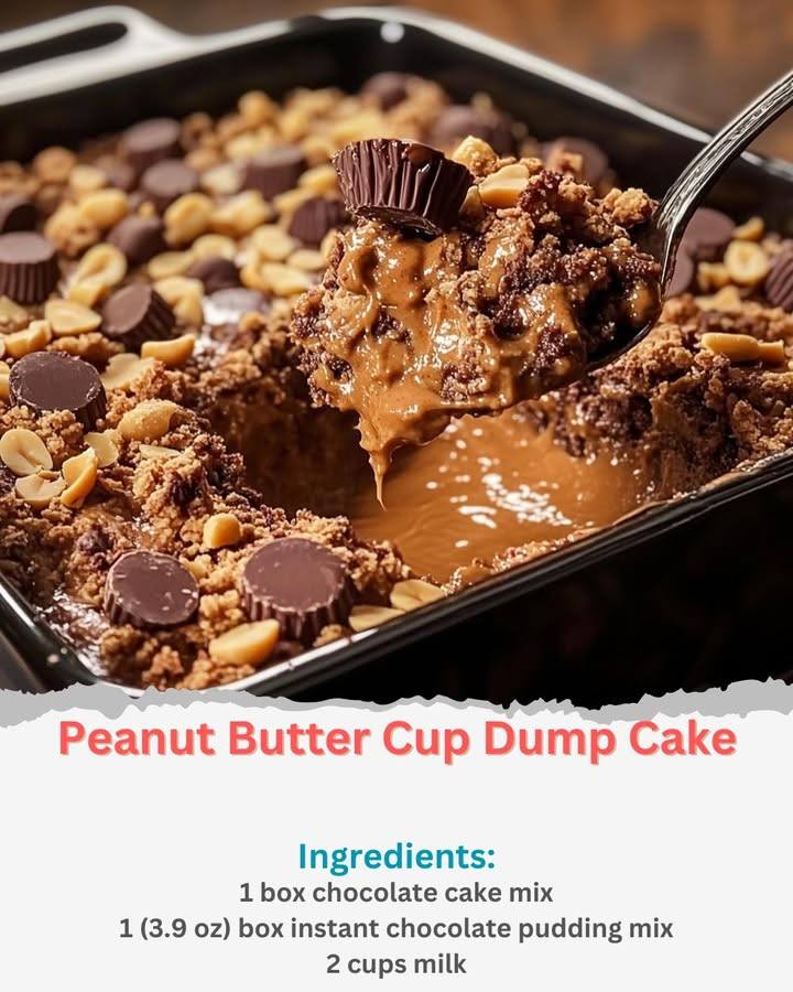 Peanut Butter Cup Dump Cake