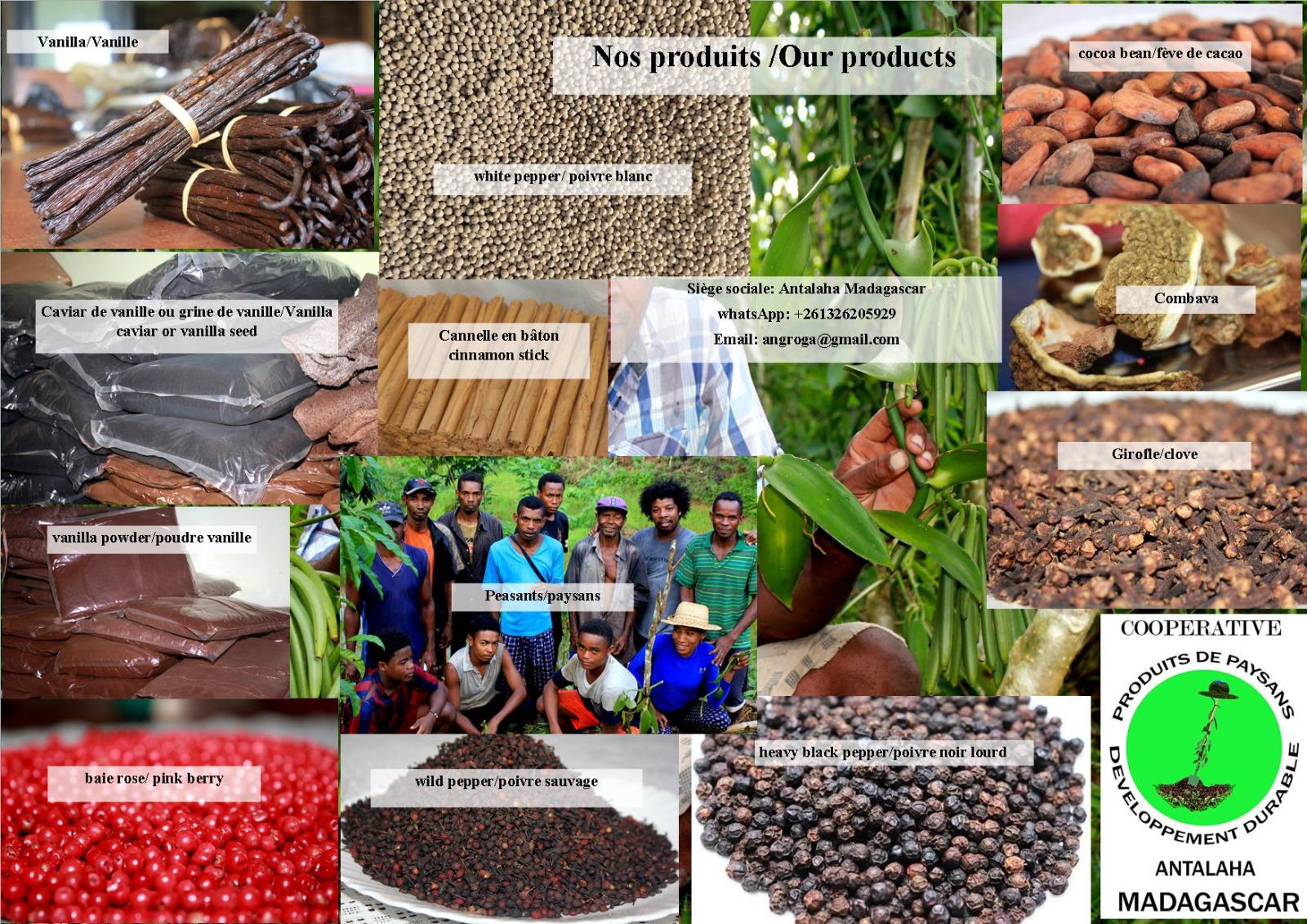 The Treasures of Madagascar Spices