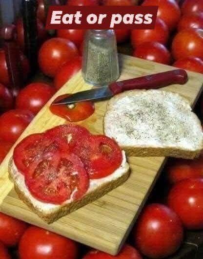 Tomato and mayo sandwich, my favorite!