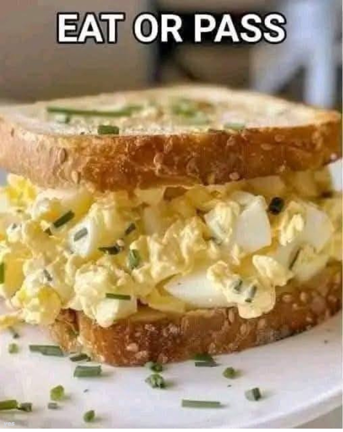 Egg Salad Sandwich